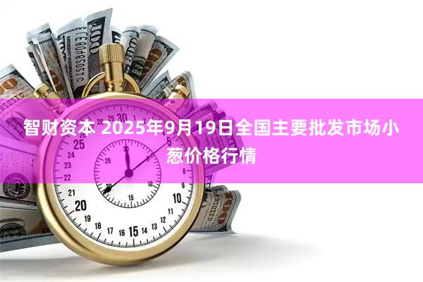 智财资本 2025年9月19日全国主要批发市场小葱价格行情