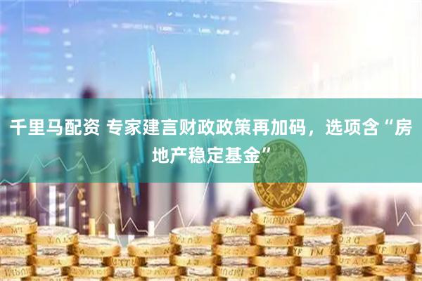 千里马配资 专家建言财政政策再加码，选项含“房地产稳定基金”