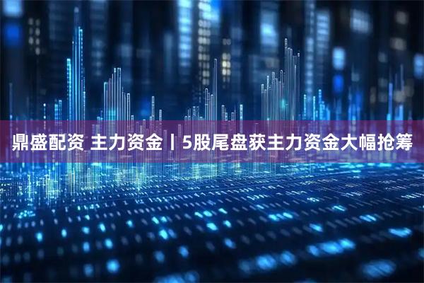 鼎盛配资 主力资金丨5股尾盘获主力资金大幅抢筹