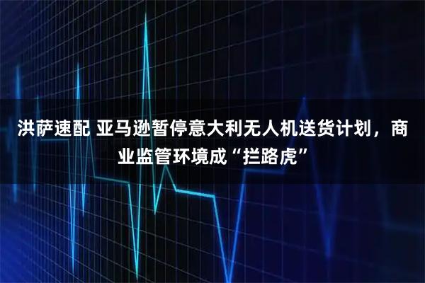 洪萨速配 亚马逊暂停意大利无人机送货计划，商业监管环境成“拦路虎”