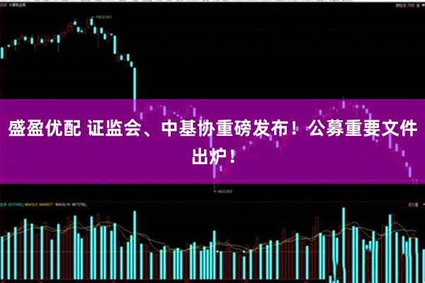 盛盈优配 证监会、中基协重磅发布！公募重要文件出炉！